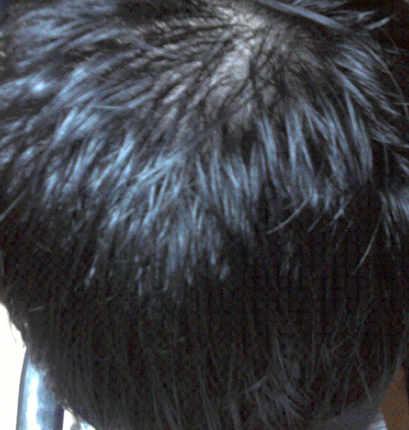c2.GIF