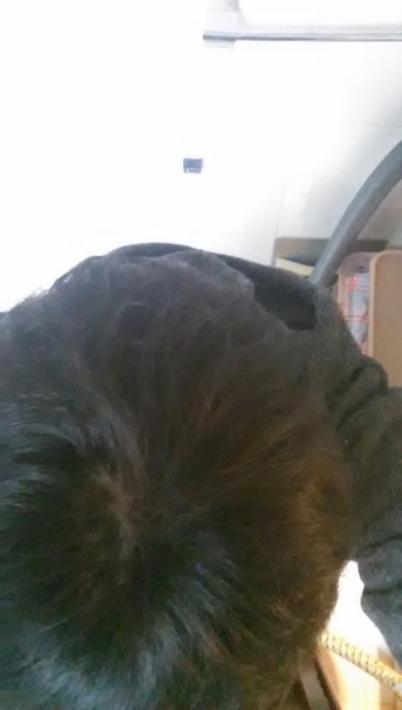 20150227_001817.jpg