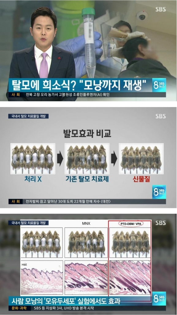 daum_net_20171120_222257.jpg