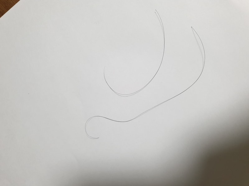 20190221_231126.jpg