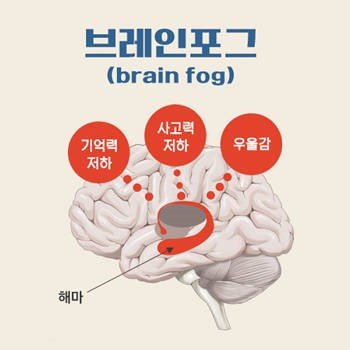 다운로드_10.jpg