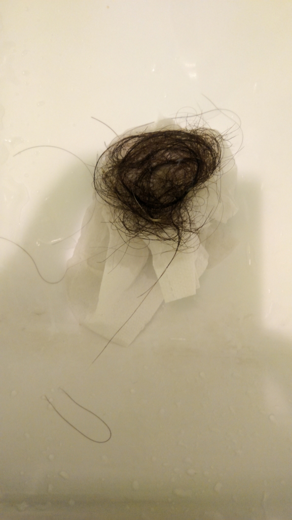 20170402_141301.jpg