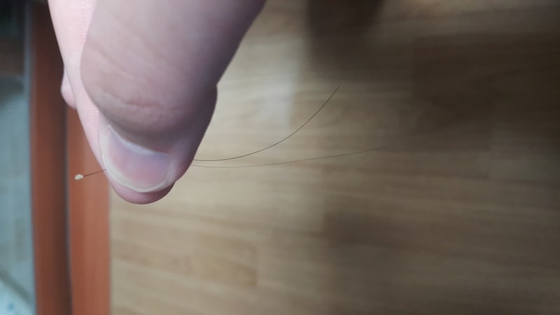 20180415_193034.jpg
