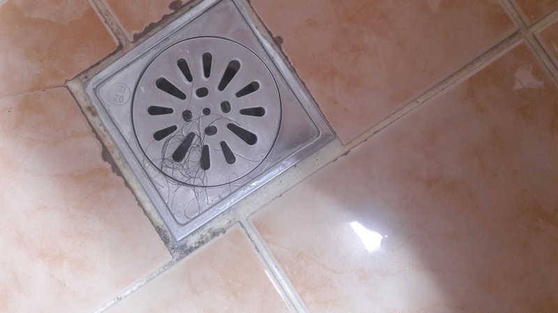 20190309_120142.jpg