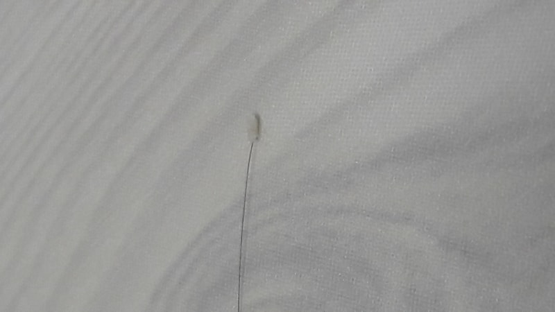 20190401_225540.jpg