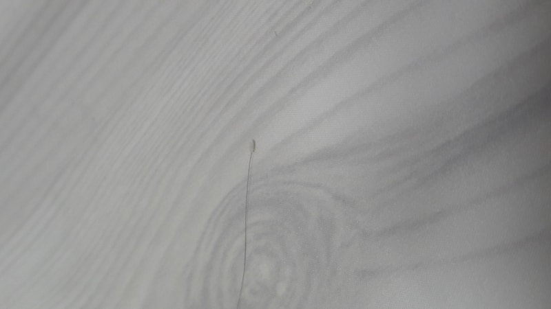 20190401_225548.jpg