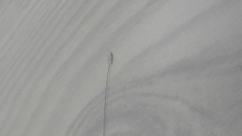 20190401_225545.jpg