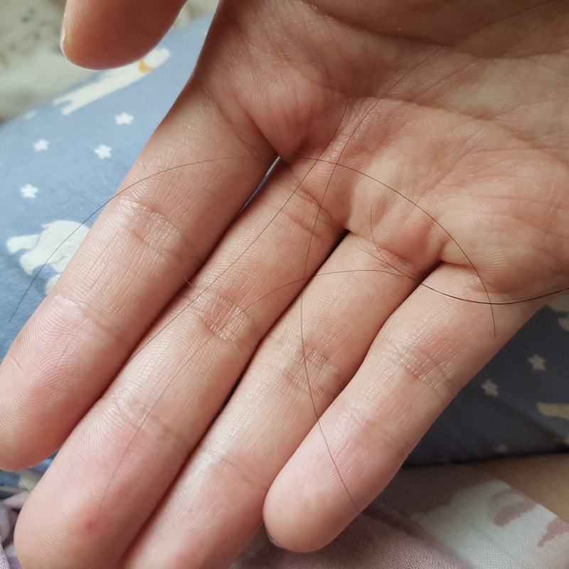 20190623_115209.jpg