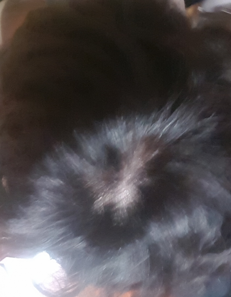 20180315_011146.jpg