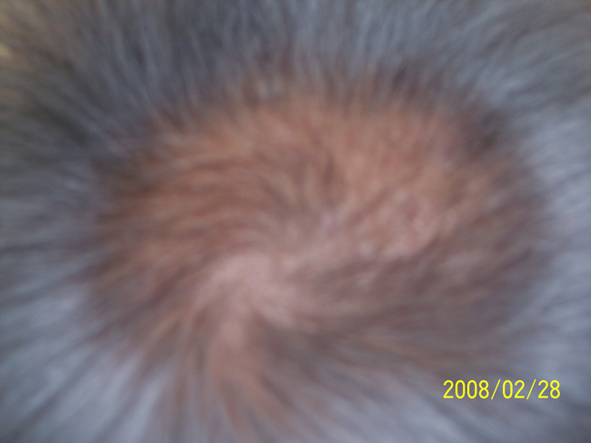 47c676064b524.jpg
