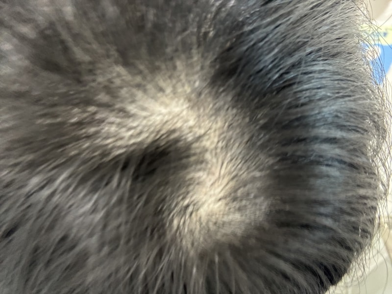 IMG_1887.jpeg