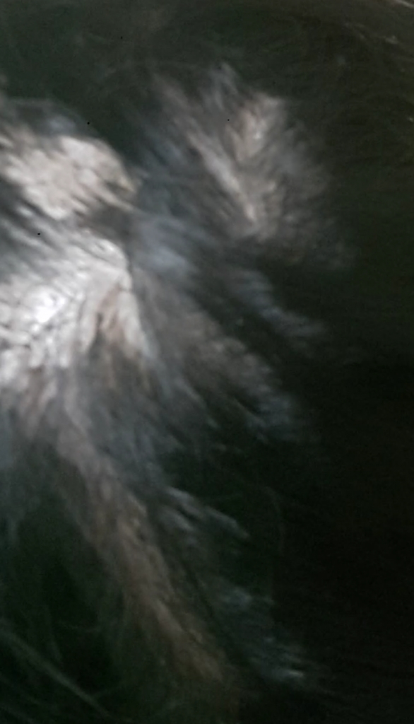 20170728_003625.png