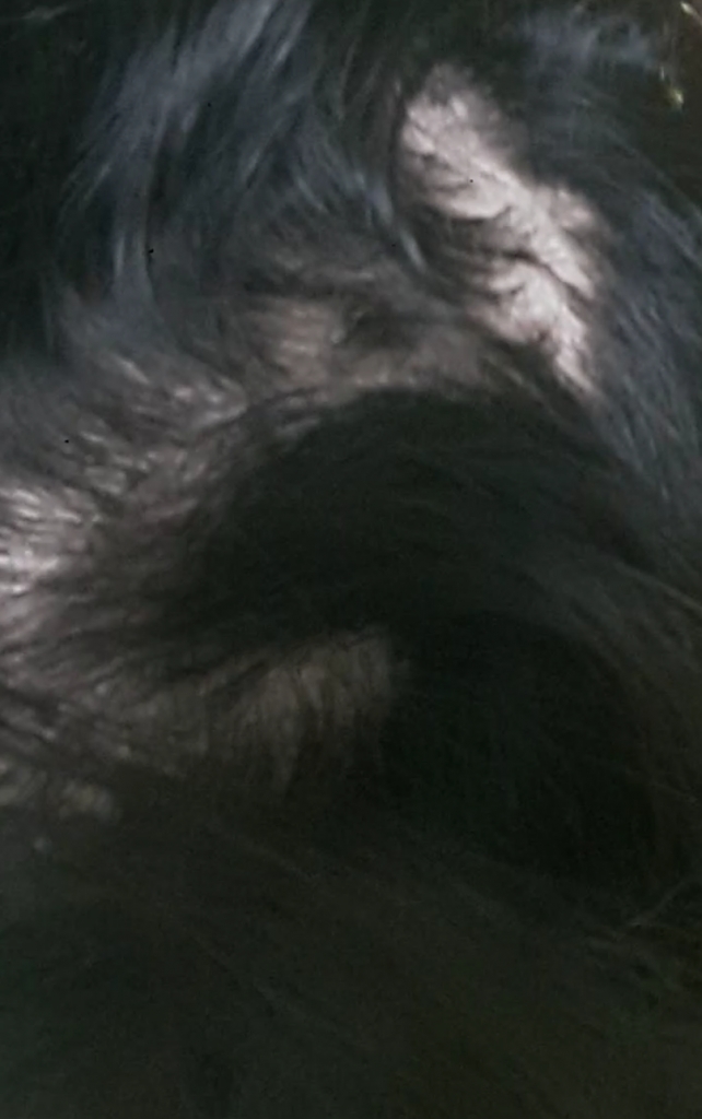 20170728_003638.png