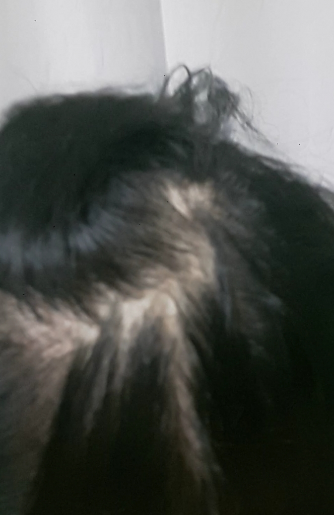 20170728_003701.png