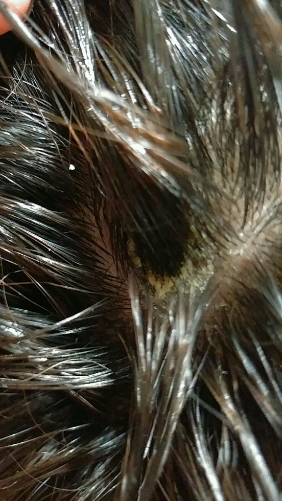 20170104_225220_825.jpg