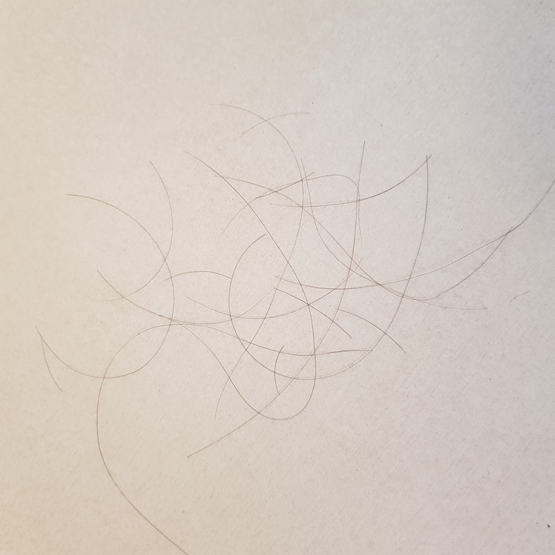 20190724_163058.jpg