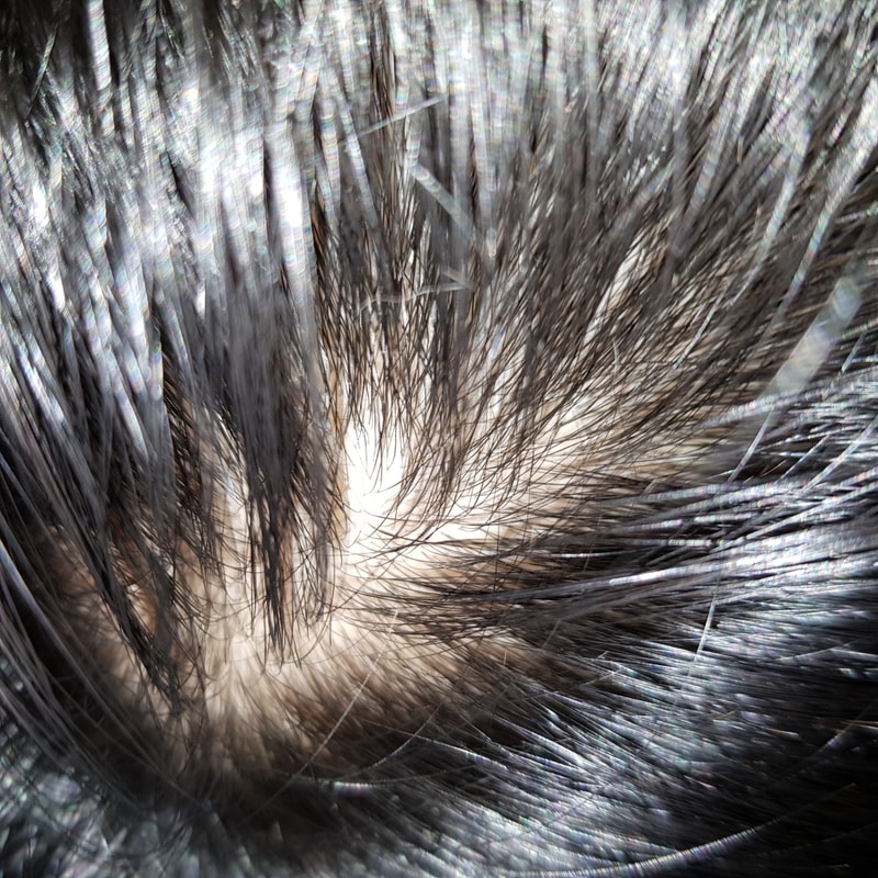 20190710_205605.jpg