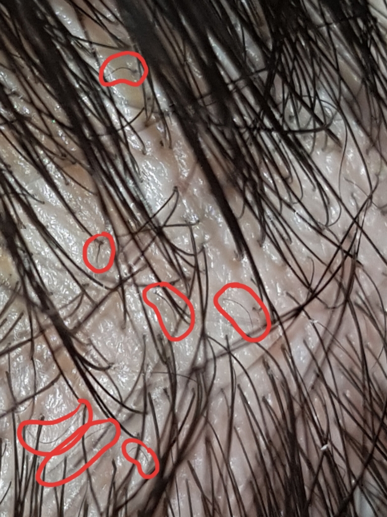 20190804_224527.jpg