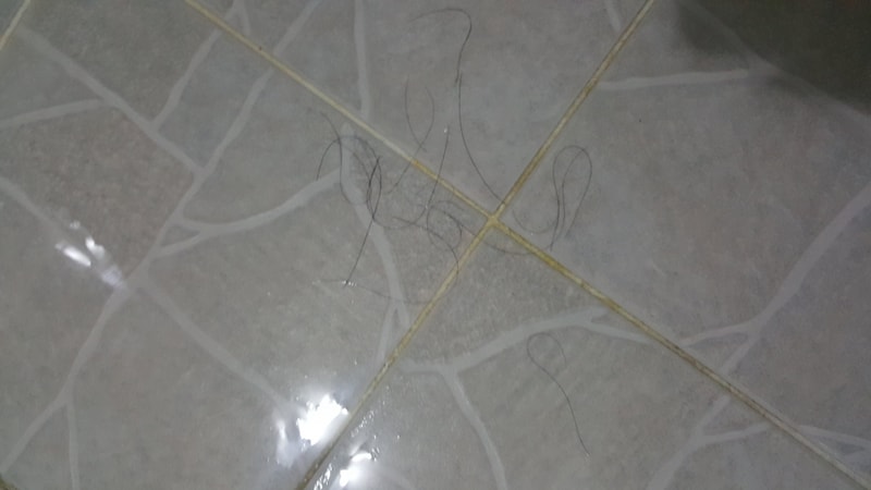 20160919_201426_resize.jpg
