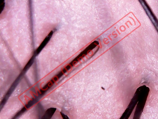 2018-04-16_201725_661.jpg