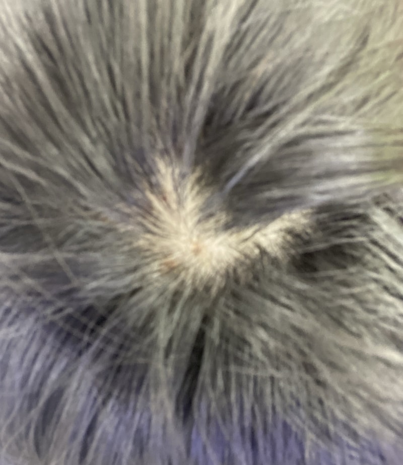 E507B914-0D20-4FCD-A280-2FACF4D8478D.jpeg