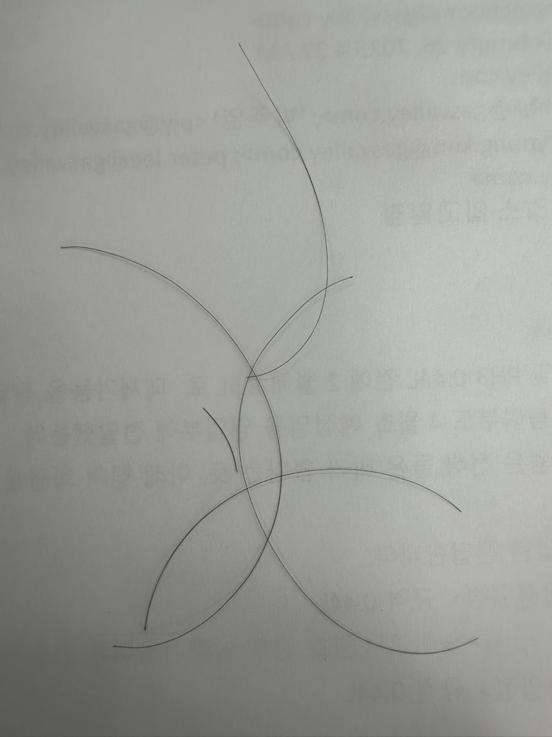 KakaoTalk_20250307_142703610.jpg