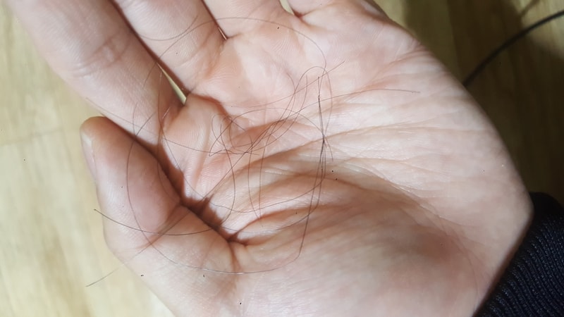 20190616_212508.jpg