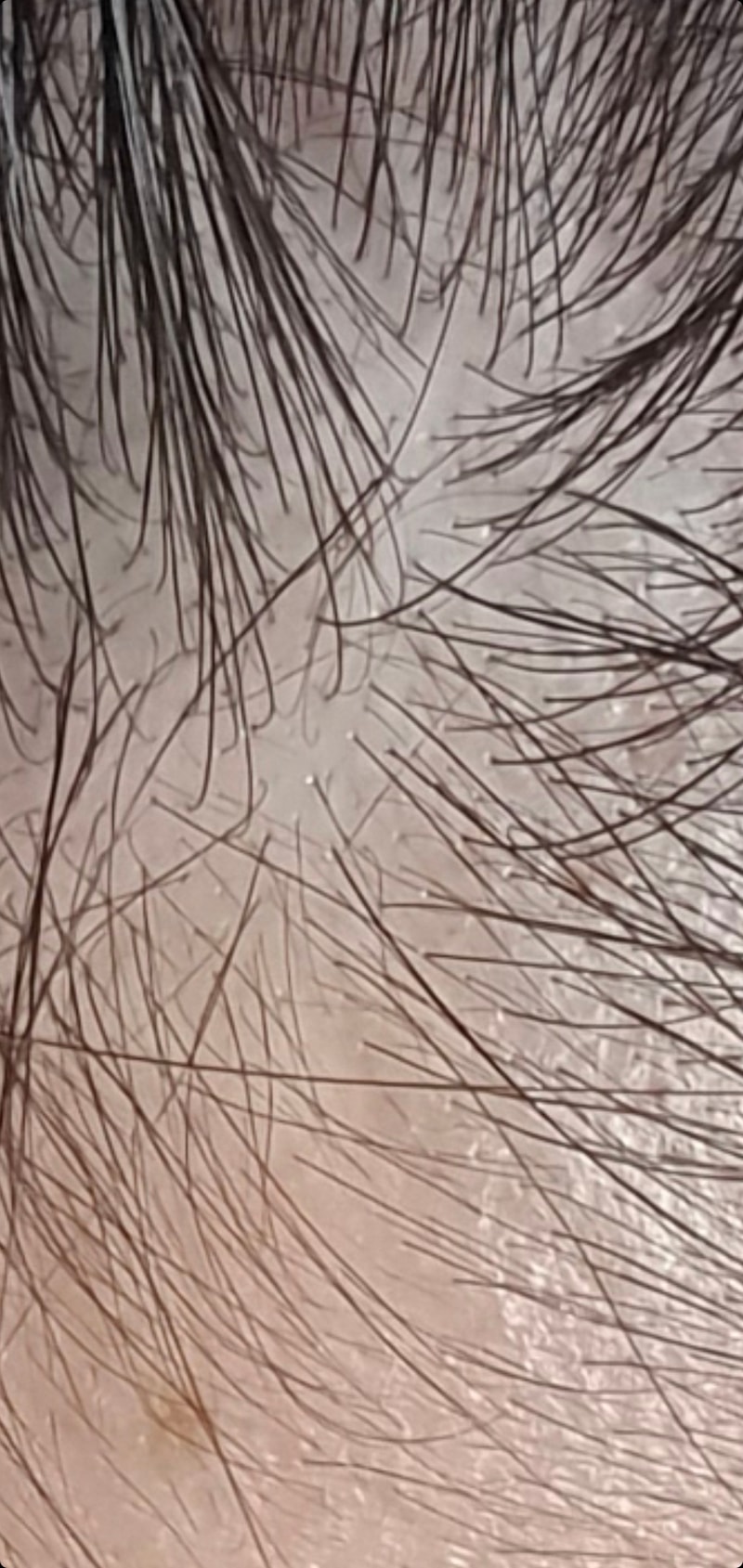 Screenshot_20211014-181057_Gallery.jpg