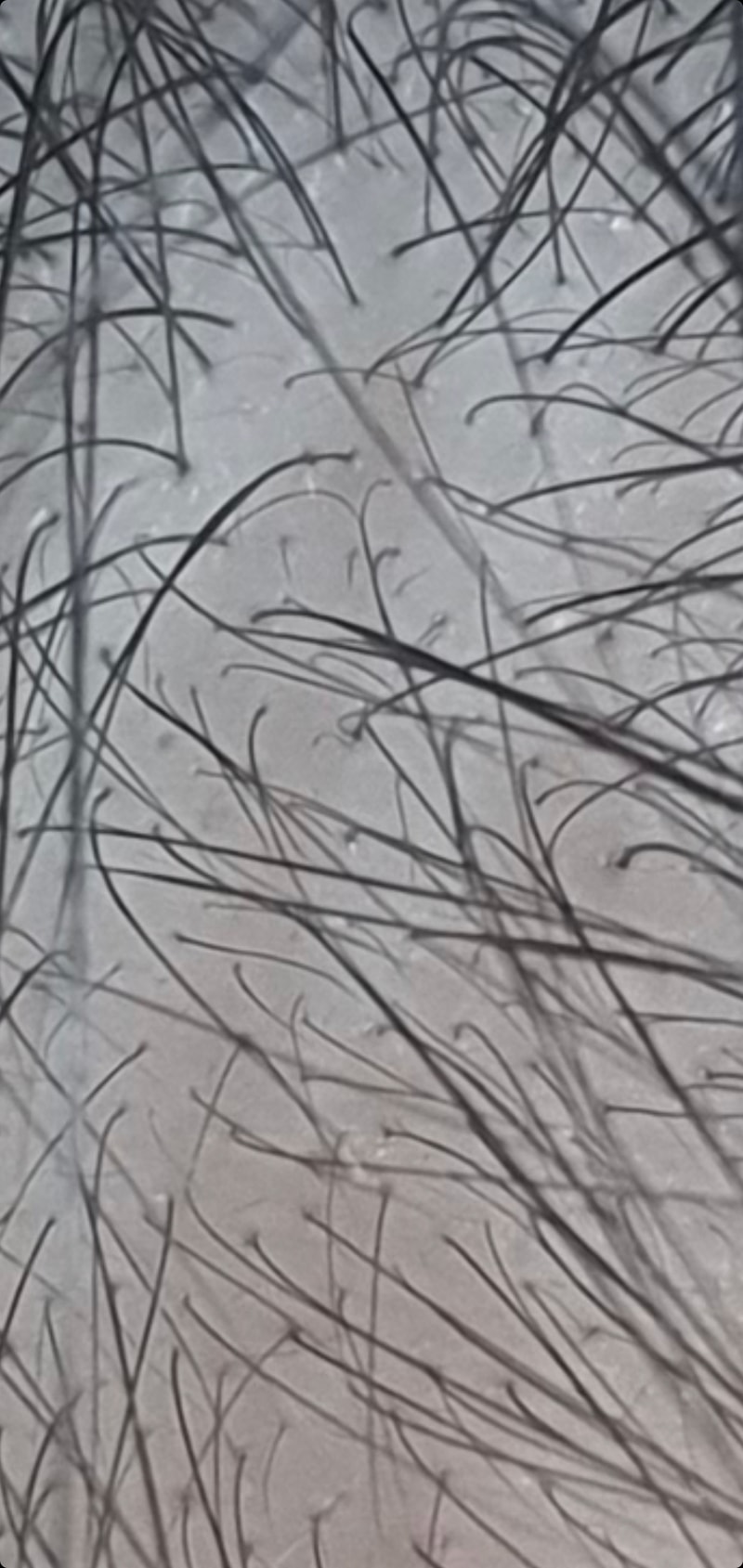 Screenshot_20211014-181213_Gallery.jpg