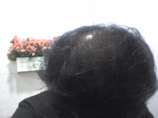 %BB%E7%C1%F861168_newmajuck.jpg