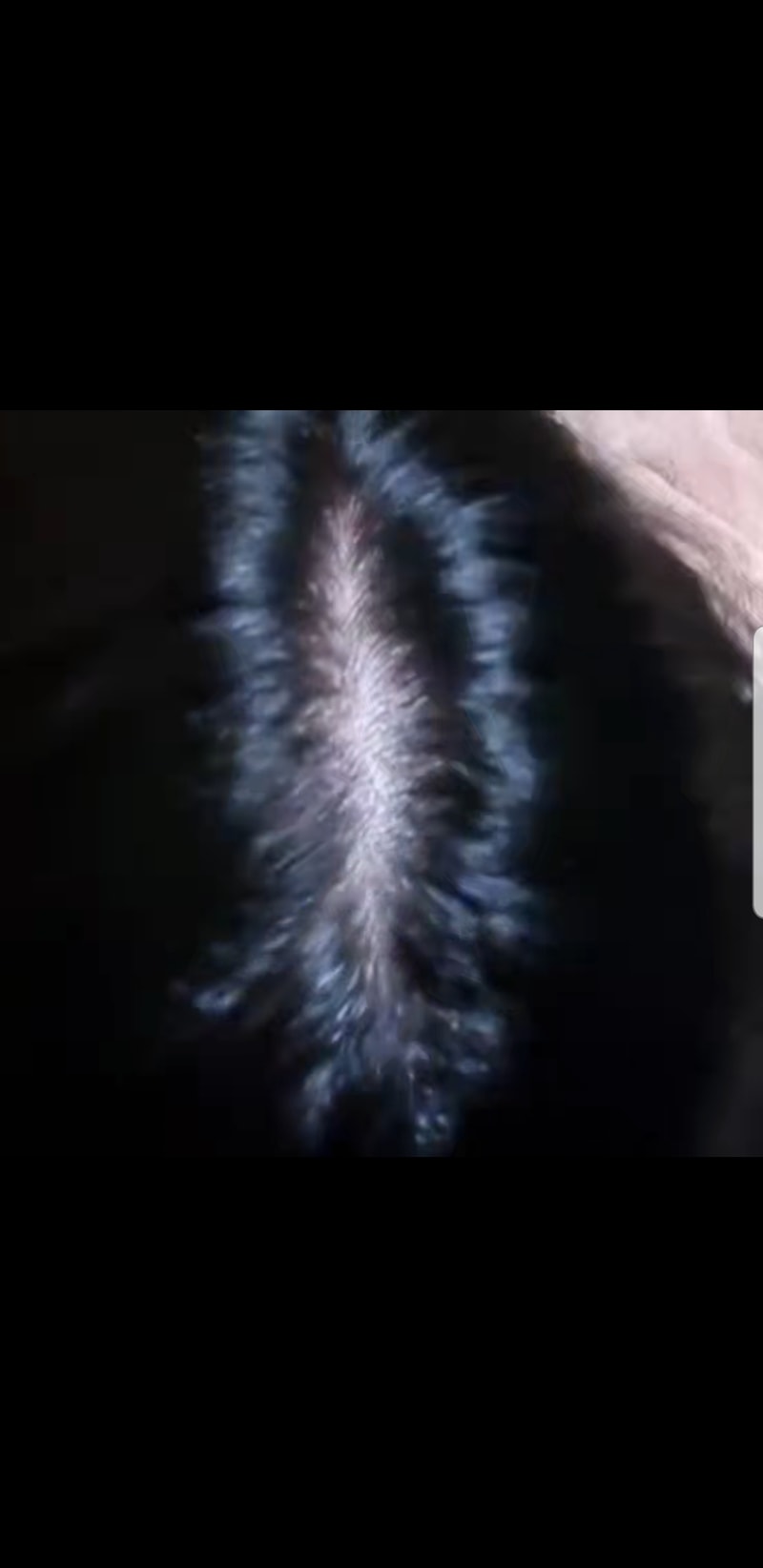 Screenshot_20220106-223930_Video Player.jpg