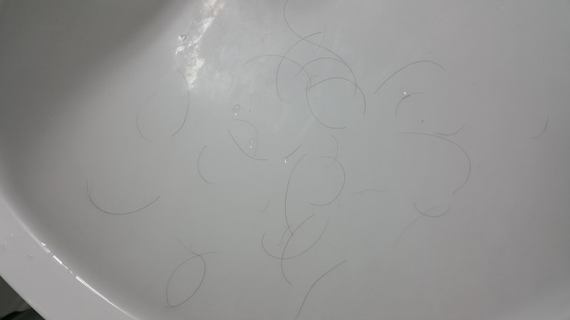 20151015_065127.jpg