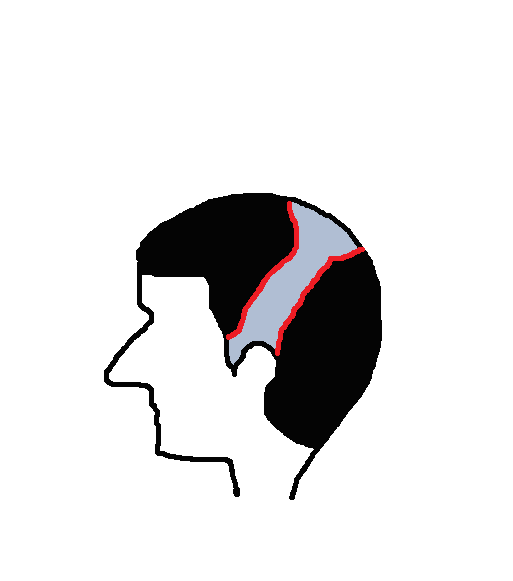 이미지 1.png