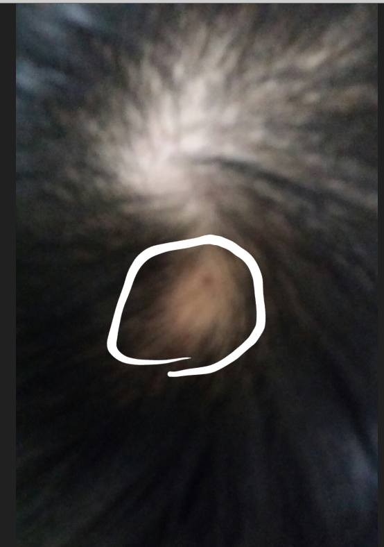 4.PNG