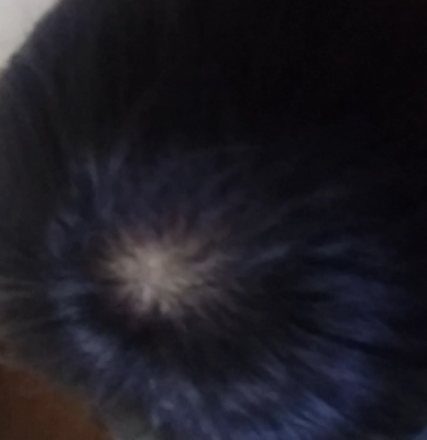3.PNG