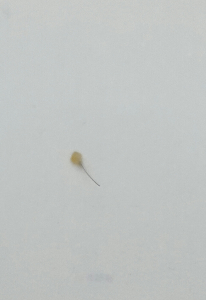20180330_220017-1.jpg