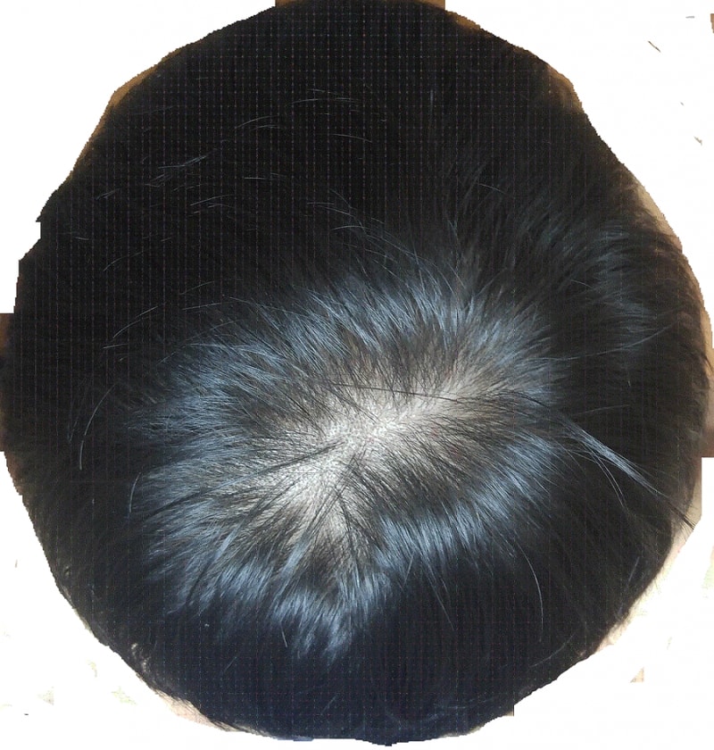untitled2.gif