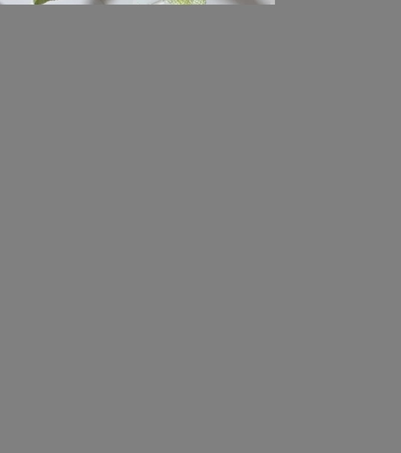 20190929_171457.jpg