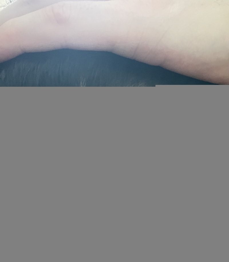 D04E592F-19B4-40A8-BA2C-0926637CC413.jpeg