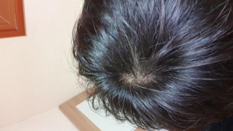 가마최근.jpg