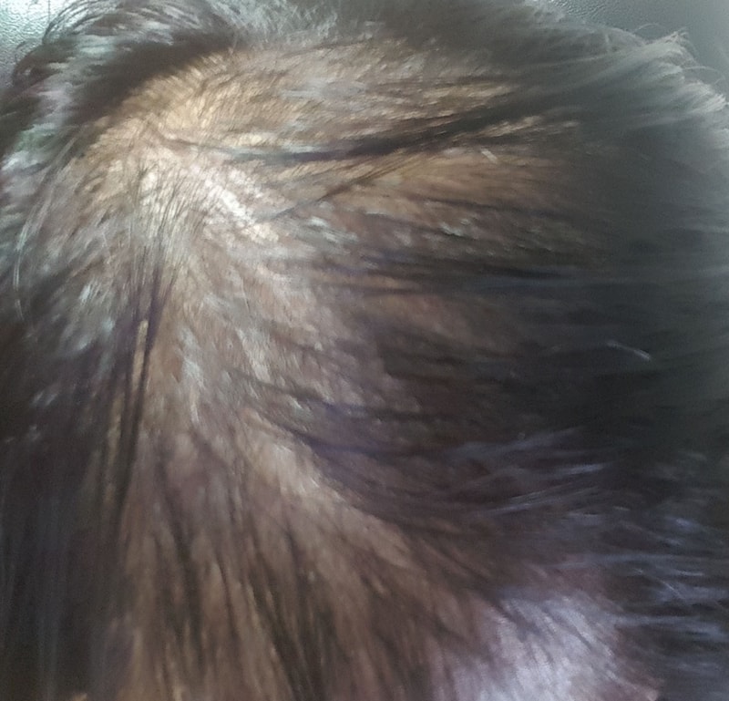 20161103_181135944.jpg