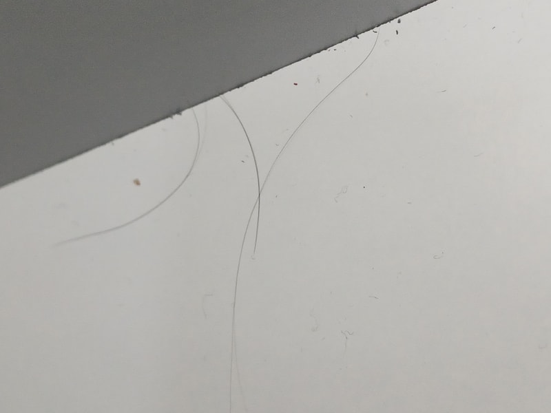 20240117_182903.jpg