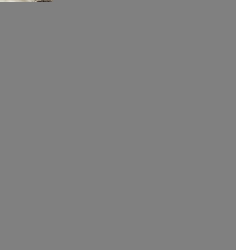 IMG_0508.jpeg