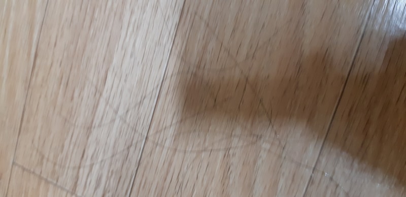 20181023_114400.jpg