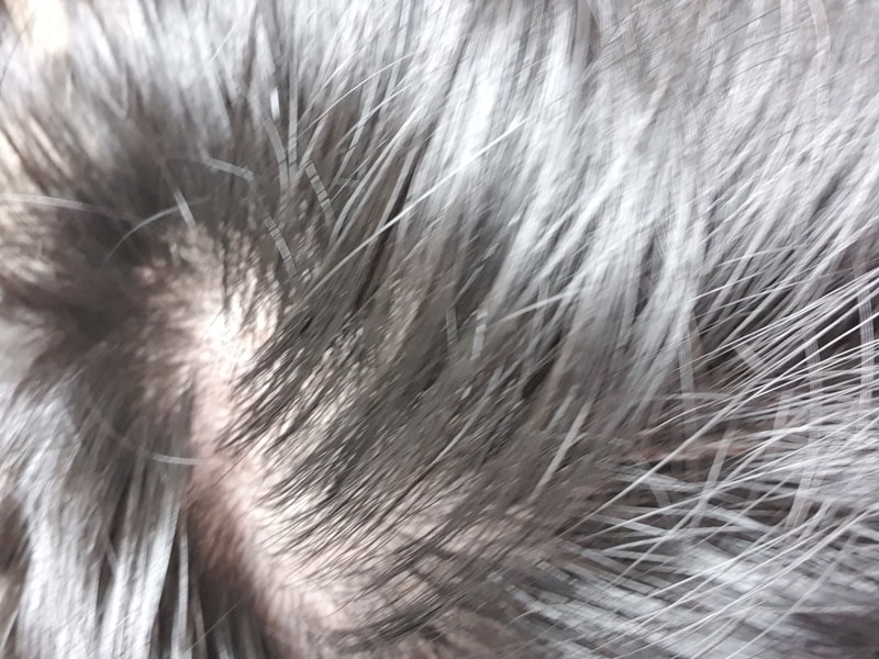 20200905_003918.jpg