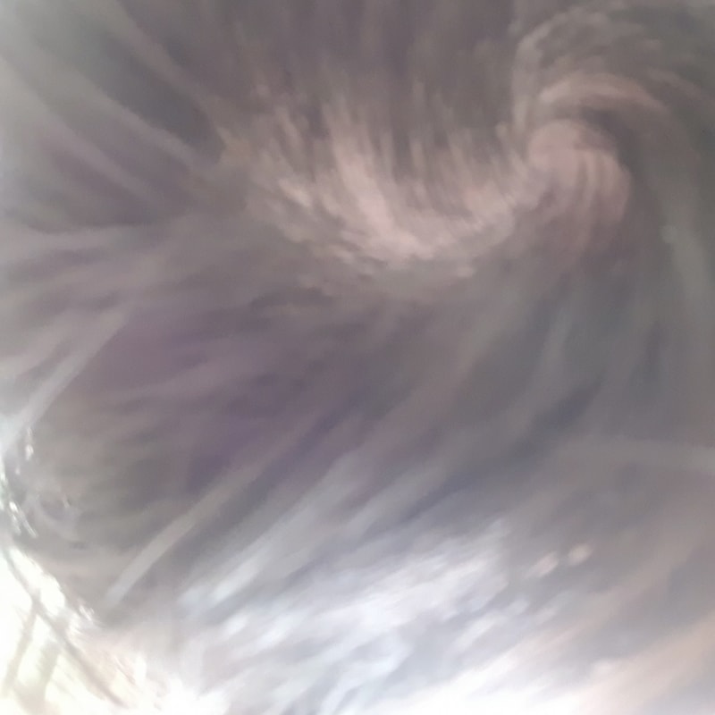 20210824_073204.jpg