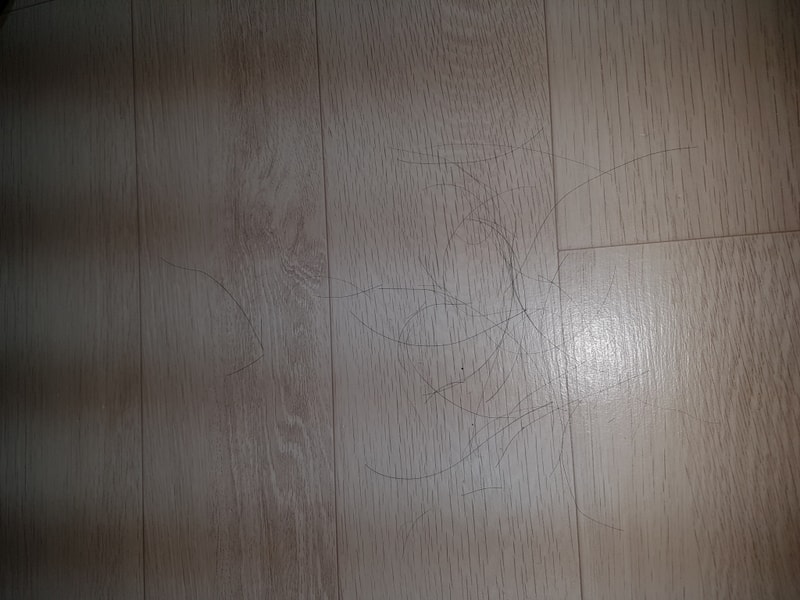 20190512_023122.jpg