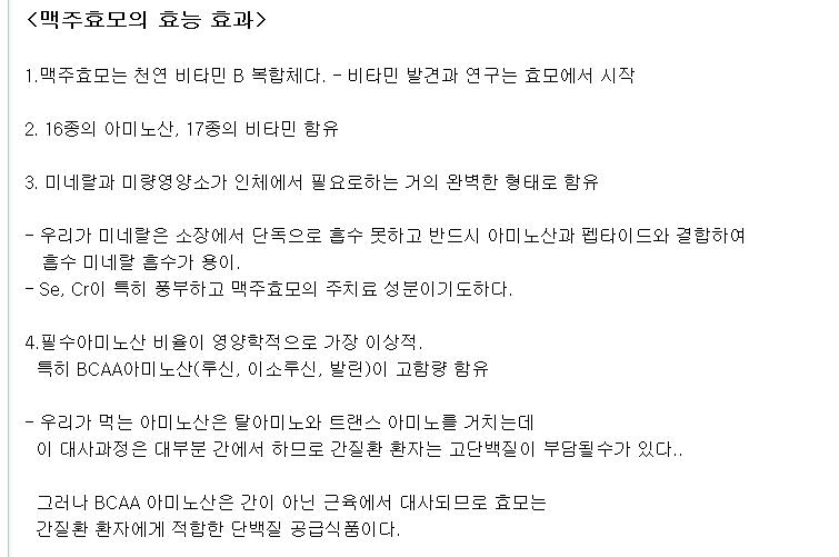 효모1.JPG