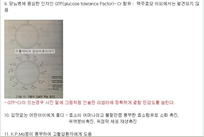 효모3.JPG