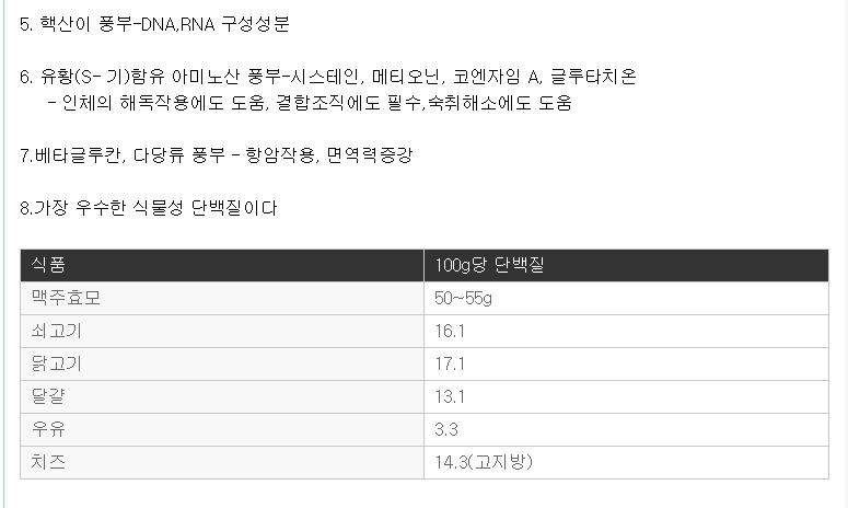 효모2.JPG